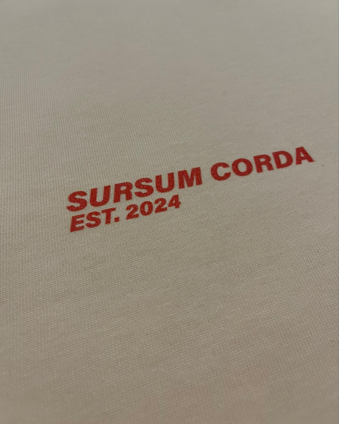 Drop 003 - Camiseta Manga Larga Oversized Cropped "Corazón sanado"