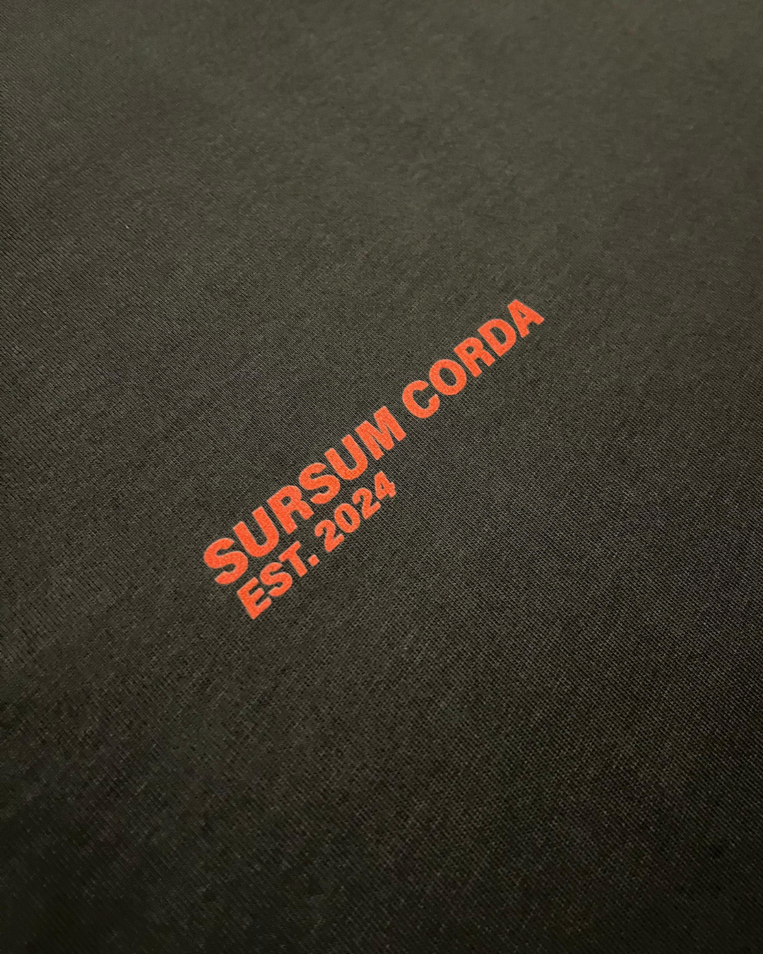 Drop 003 - Camiseta Oversized Cropped "Corazón sanado"