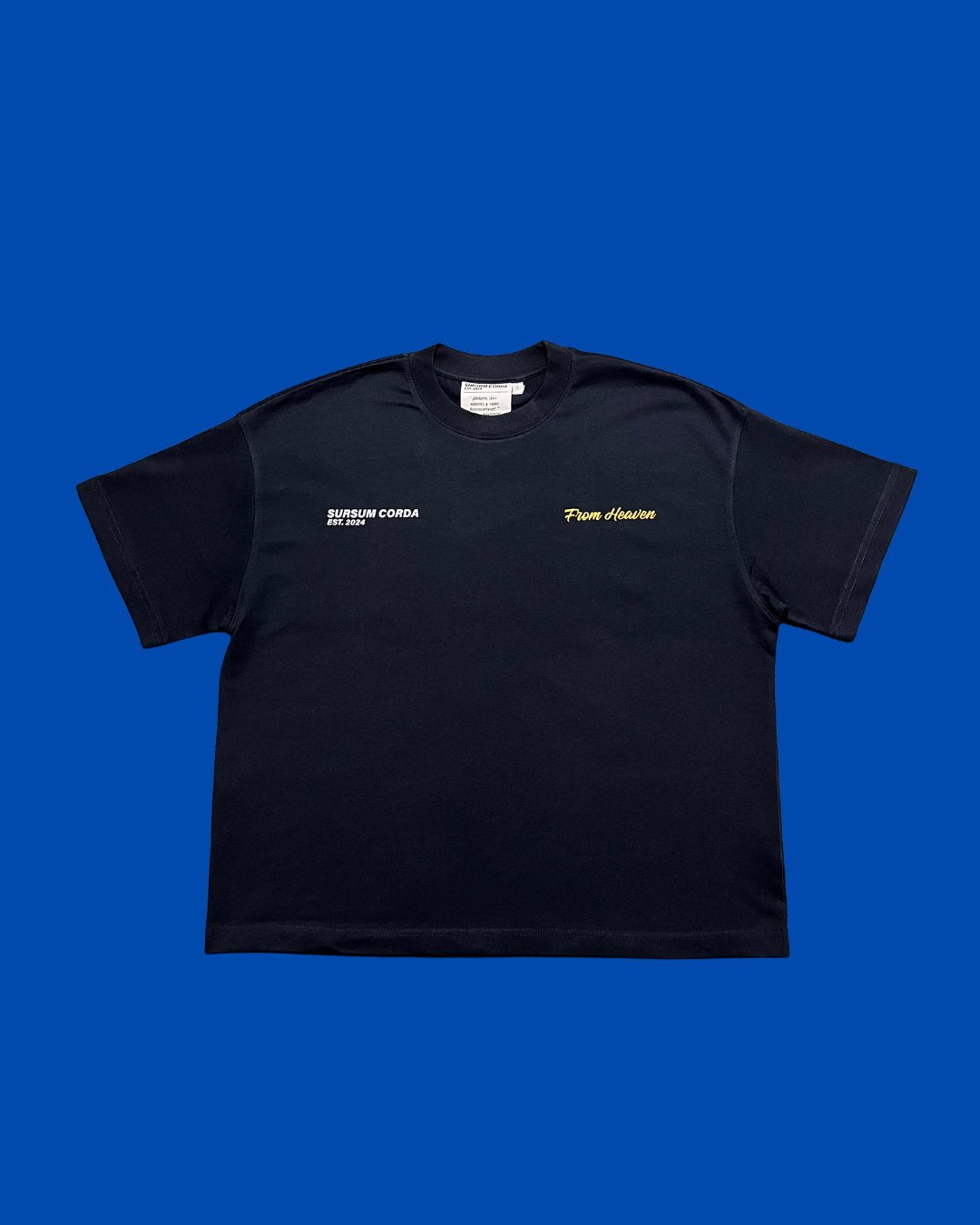 Drop 003 - Camiseta Oversized Cropped "From Heaven"