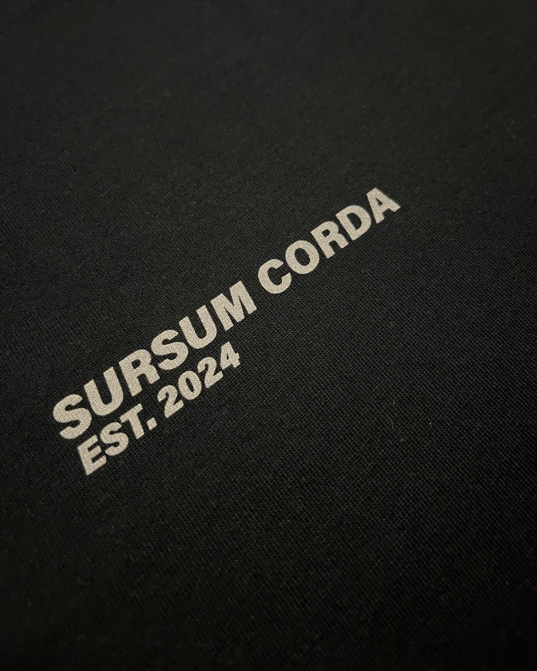 Drop 003 - Camiseta Oversized Cropped "From Heaven"